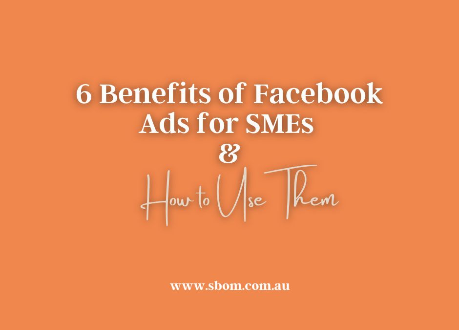 6 Benefits of Facebook Ads for Small and Medium-sized Enterprises  (SMEs) and How to Use Them